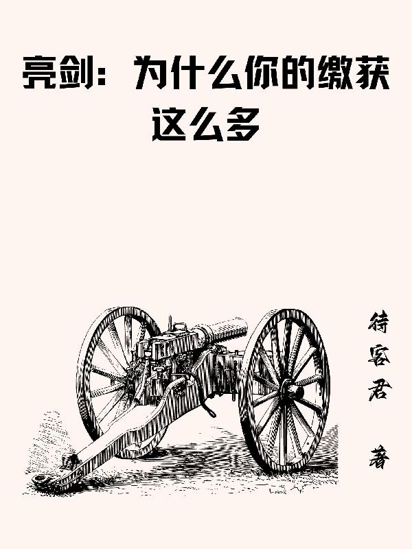 亮剑为什么这么红